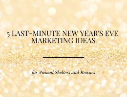 5 Last-Minute New Year's Eve Marketing Ideas for Animal Shelters and Rescues