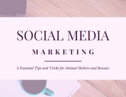 Social Media Marketing: 5 Essential Tips and Tricks for Animal Shelters and Rescues