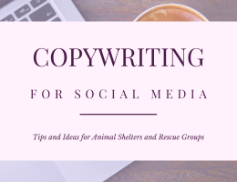 Copywriting for Social Media: Tips and Ideas for Animal Shelters and Rescue Groups