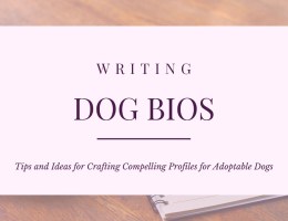 Writing Dog Bios: Tips and Ideas for Crafting Compelling Profiles for Adoptable Dogs